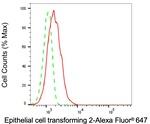 ECT2 Antibody in Flow Cytometry (Flow)