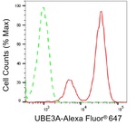 E6AP Antibody in Flow Cytometry (Flow)