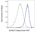 DYNLT1 Antibody in Flow Cytometry (Flow)