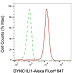 DYNC1LI1 Antibody in Flow Cytometry (Flow)