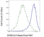 DYNC1LI1 Antibody in Flow Cytometry (Flow)