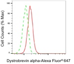 DTNA Antibody in Flow Cytometry (Flow)