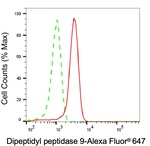 DPP9 Antibody in Flow Cytometry (Flow)
