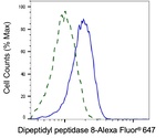 DPP8 Antibody in Flow Cytometry (Flow)