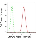 DNAJA2 Antibody in Flow Cytometry (Flow)