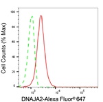 DNAJA2 Antibody in Flow Cytometry (Flow)