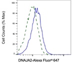 DNAJA2 Antibody in Flow Cytometry (Flow)