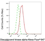 DGKA Antibody in Flow Cytometry (Flow)