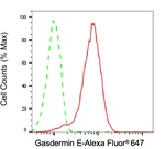 DFNA5 Antibody in Flow Cytometry (Flow)