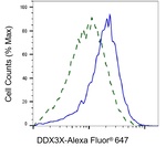 DDX3 Antibody in Flow Cytometry (Flow)