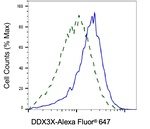 DDX3 Antibody in Flow Cytometry (Flow)