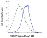 DDOST Antibody in Flow Cytometry (Flow)