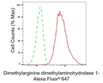 DDAH1 Antibody in Flow Cytometry (Flow)
