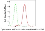 Cytochrome P450 Reductase Antibody in Flow Cytometry (Flow)