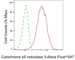 CYB5R3 Antibody in Flow Cytometry (Flow)