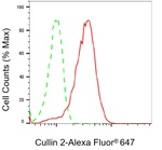 Cullin 2 Antibody in Flow Cytometry (Flow)