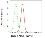 Cullin 5 Antibody in Flow Cytometry (Flow)