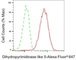 CRMP5 Antibody in Flow Cytometry (Flow)