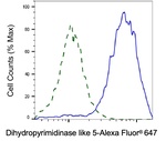 CRMP5 Antibody in Flow Cytometry (Flow)