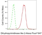 CRMP2 Antibody in Flow Cytometry (Flow)