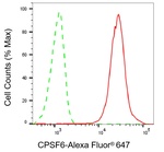 CPSF6 Antibody in Flow Cytometry (Flow)