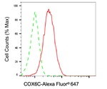 COX6C Antibody in Flow Cytometry (Flow)