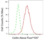 Coilin Antibody in Flow Cytometry (Flow)