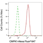 CMPK1 Antibody in Flow Cytometry (Flow)