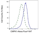 CMPK1 Antibody in Flow Cytometry (Flow)