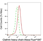 Clathrin Heavy Chain Antibody in Flow Cytometry (Flow)