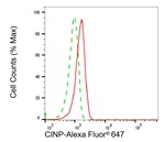 CINP Antibody in Flow Cytometry (Flow)