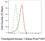 Chk1 Antibody in Flow Cytometry (Flow)