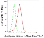 Chk1 Antibody in Flow Cytometry (Flow)