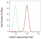 CGBP Antibody in Flow Cytometry (Flow)