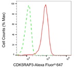 CDK5RAP3 Antibody in Flow Cytometry (Flow)