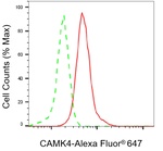 CaMKIV Antibody in Flow Cytometry (Flow)