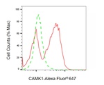 CaMKI Antibody in Flow Cytometry (Flow)