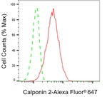 Calponin 2 Antibody in Flow Cytometry (Flow)