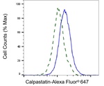 Calpastatin Antibody in Flow Cytometry (Flow)