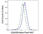 C3orf38 Antibody in Flow Cytometry (Flow)