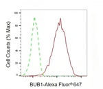 Bub1 Antibody in Flow Cytometry (Flow)