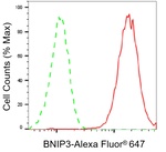BNIP3 Antibody in Flow Cytometry (Flow)