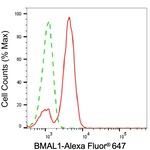 BMAL1 Antibody in Flow Cytometry (Flow)