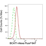 BCAT1 Antibody in Flow Cytometry (Flow)