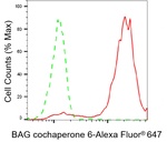 BAG6 Antibody in Flow Cytometry (Flow)