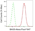 BAG5 Antibody in Flow Cytometry (Flow)