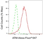 ATM Antibody in Flow Cytometry (Flow)