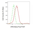 ATM Antibody in Flow Cytometry (Flow)