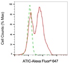 ATIC Antibody in Flow Cytometry (Flow)