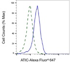 ATIC Antibody in Flow Cytometry (Flow)